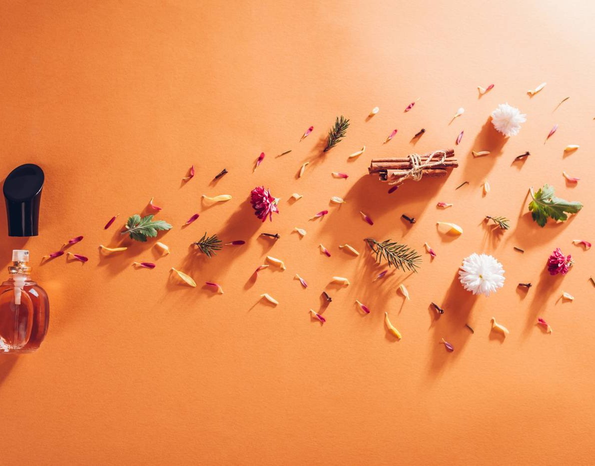 Raw materials of a composed scent laid out on a stone surface: citrus, spices, grapes, honey and garden roses.